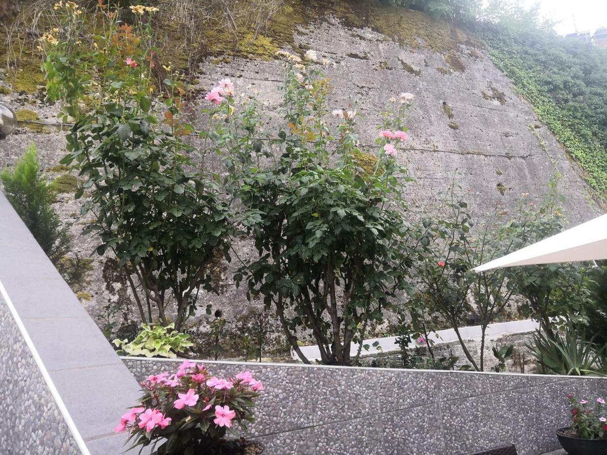 Bed and Breakfast Il Roseto Фрозиноне Экстерьер фото