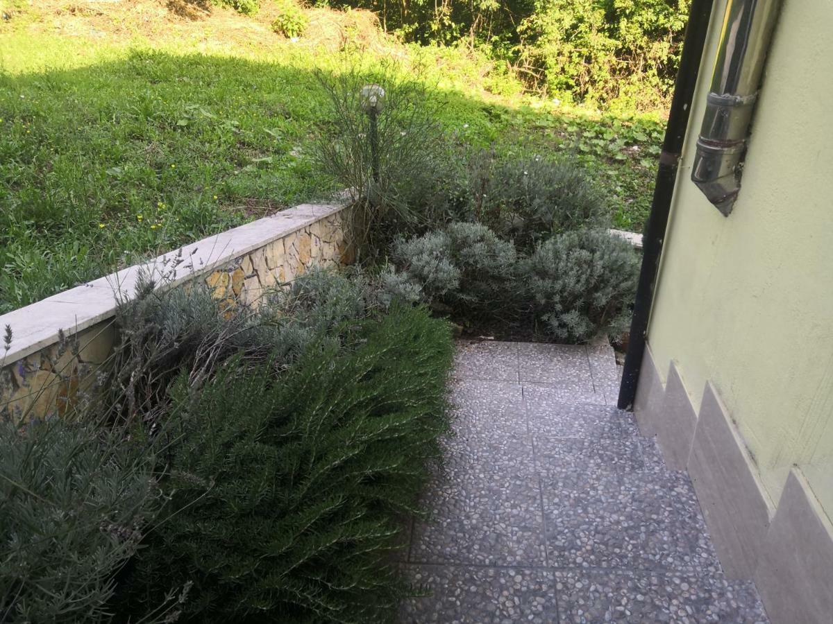 Bed and Breakfast Il Roseto Фрозиноне Экстерьер фото